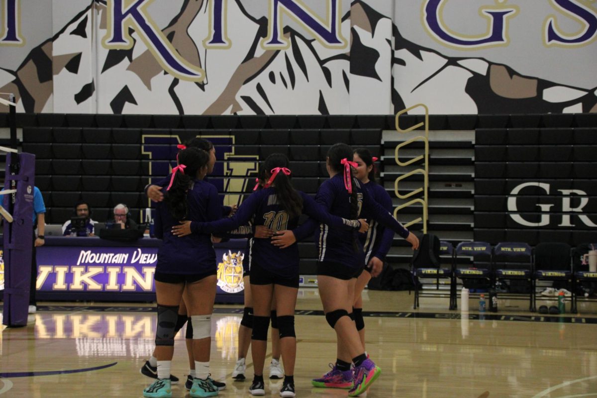 Lady Vikes huddle and regroup after a tough rally.